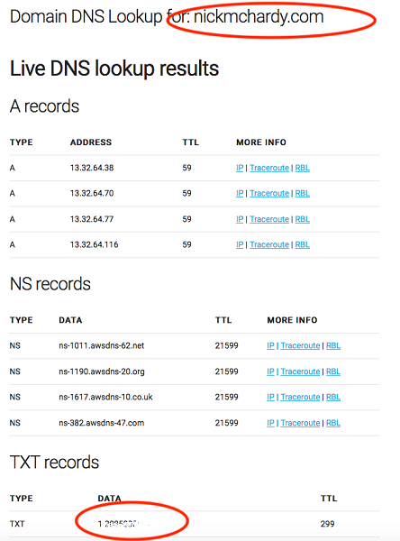 DNS TXT Record