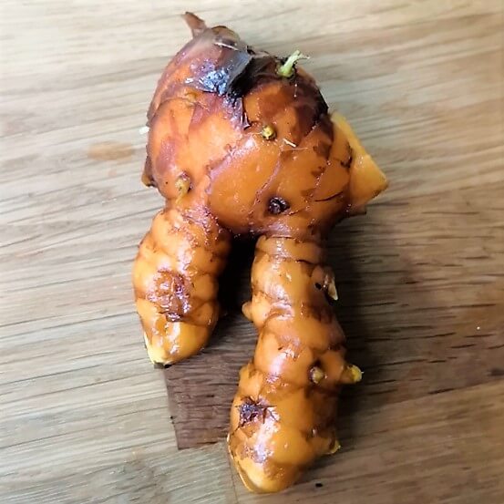 Turmeric