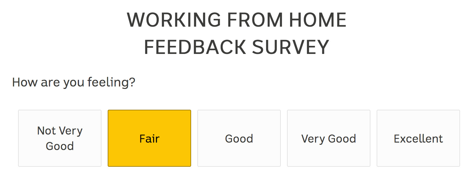 Working from home survey
